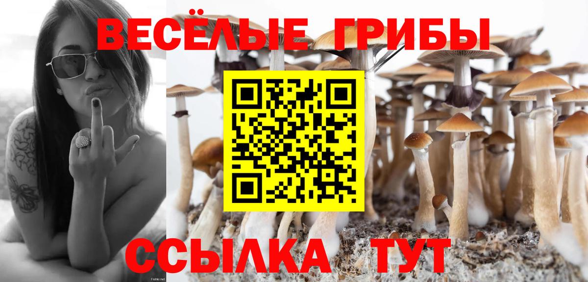 Кетамин  Вход с VPN  Меф кристаллы  A PVP СОЛЬ   Пенза  Марихуана  Гашиш 